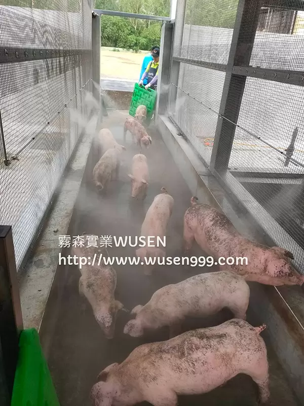 台糖進豬通道自動化噴霧消毒設備,水霧降溫系統｜噴霧降塵、加濕、噴霧消毒與景觀造霧-霧森實業